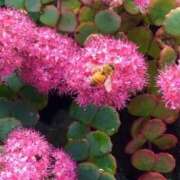 ヒメ日記 2025/09/17 06:00 投稿 あゆ 梅田アバンチュール