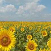 ヒメ日記 2025/09/21 07:45 投稿 あゆ 梅田アバンチュール