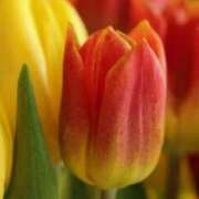 ヒメ日記 2025/09/27 07:05 投稿 あゆ 梅田アバンチュール