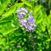 ヒメ日記 2025/10/04 05:09 投稿 あゆ 梅田アバンチュール