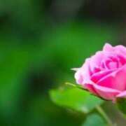 ヒメ日記 2025/10/07 05:33 投稿 あゆ 梅田アバンチュール