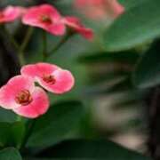 ヒメ日記 2025/10/18 07:54 投稿 あゆ 梅田アバンチュール