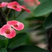 ヒメ日記 2025/10/18 08:02 投稿 あゆ 梅田アバンチュール