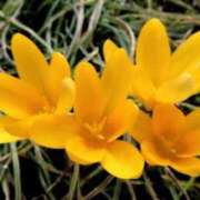 ヒメ日記 2025/10/20 05:51 投稿 あゆ 梅田アバンチュール