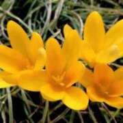 ヒメ日記 2025/10/20 06:02 投稿 あゆ 梅田アバンチュール