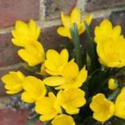 ヒメ日記 2025/10/21 06:59 投稿 あゆ 梅田アバンチュール