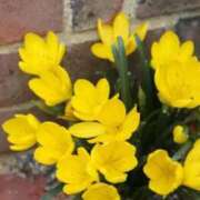 ヒメ日記 2025/10/21 07:12 投稿 あゆ 梅田アバンチュール