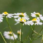 ヒメ日記 2025/11/03 05:05 投稿 あゆ 梅田アバンチュール