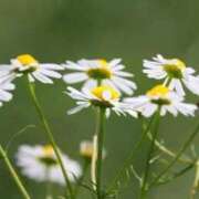 ヒメ日記 2025/11/03 05:22 投稿 あゆ 梅田アバンチュール