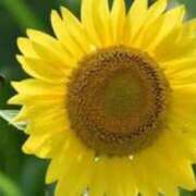 ヒメ日記 2025/11/14 05:42 投稿 あゆ 梅田アバンチュール