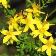 ヒメ日記 2025/11/17 07:02 投稿 あゆ 梅田アバンチュール