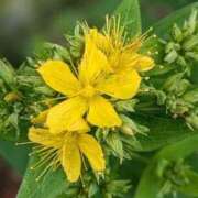 ヒメ日記 2025/11/18 07:12 投稿 あゆ 梅田アバンチュール