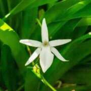 ヒメ日記 2025/11/22 07:02 投稿 あゆ 梅田アバンチュール