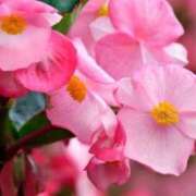 ヒメ日記 2025/11/29 07:13 投稿 あゆ 梅田アバンチュール