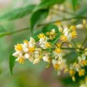 ヒメ日記 2025/12/05 06:52 投稿 あゆ 梅田アバンチュール