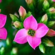 あゆ ☆おはようございます☆ 梅田アバンチュール