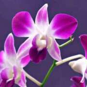 あゆ ☆おはようございます☆ 梅田アバンチュール