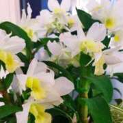 あゆ ☆おはようございます☆ 梅田アバンチュール