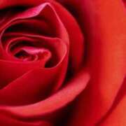 ヒメ日記 2025/12/15 07:12 投稿 あゆ 梅田アバンチュール