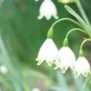 ヒメ日記 2025/12/19 05:52 投稿 あゆ 梅田アバンチュール