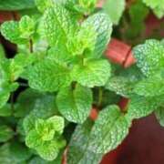 ヒメ日記 2025/12/20 07:02 投稿 あゆ 梅田アバンチュール