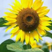 ヒメ日記 2025/12/22 06:12 投稿 あゆ 梅田アバンチュール