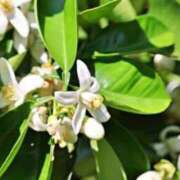 ヒメ日記 2025/12/28 07:42 投稿 あゆ 梅田アバンチュール