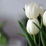 ヒメ日記 2026/01/01 07:32 投稿 あゆ 梅田アバンチュール