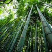 ヒメ日記 2026/01/02 06:12 投稿 あゆ 梅田アバンチュール