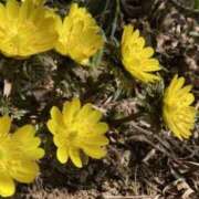 ヒメ日記 2026/01/12 05:42 投稿 あゆ 梅田アバンチュール