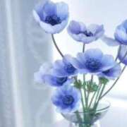 ヒメ日記 2026/01/22 06:52 投稿 あゆ 梅田アバンチュール