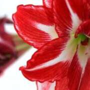 ヒメ日記 2026/01/26 06:52 投稿 あゆ 梅田アバンチュール