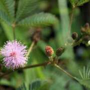 ヒメ日記 2026/01/31 06:52 投稿 あゆ 梅田アバンチュール