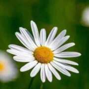 ヒメ日記 2026/02/01 05:52 投稿 あゆ 梅田アバンチュール