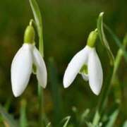 ヒメ日記 2026/02/02 07:52 投稿 あゆ 梅田アバンチュール