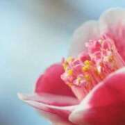 ヒメ日記 2026/02/03 06:42 投稿 あゆ 梅田アバンチュール