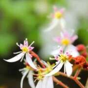 ヒメ日記 2026/02/08 06:52 投稿 あゆ 梅田アバンチュール