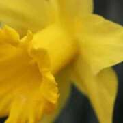 ヒメ日記 2026/02/09 07:22 投稿 あゆ 梅田アバンチュール