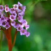 ヒメ日記 2026/02/10 06:52 投稿 あゆ 梅田アバンチュール