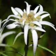 ヒメ日記 2026/02/13 06:52 投稿 あゆ 梅田アバンチュール