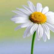 ヒメ日記 2026/02/15 06:52 投稿 あゆ 梅田アバンチュール