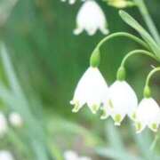 ヒメ日記 2026/02/17 07:12 投稿 あゆ 梅田アバンチュール