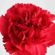 ヒメ日記 2026/02/18 07:12 投稿 あゆ 梅田アバンチュール