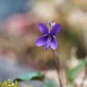 ヒメ日記 2026/02/21 07:02 投稿 あゆ 梅田アバンチュール