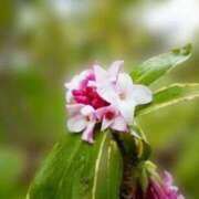 ヒメ日記 2026/02/23 07:12 投稿 あゆ 梅田アバンチュール