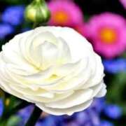 ヒメ日記 2026/02/25 07:02 投稿 あゆ 梅田アバンチュール