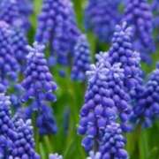 ヒメ日記 2026/02/26 06:52 投稿 あゆ 梅田アバンチュール