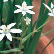 ヒメ日記 2026/02/27 07:12 投稿 あゆ 梅田アバンチュール