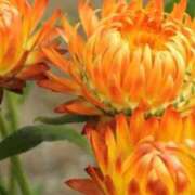 ヒメ日記 2026/02/28 07:42 投稿 あゆ 梅田アバンチュール