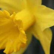 ヒメ日記 2026/03/01 06:52 投稿 あゆ 梅田アバンチュール